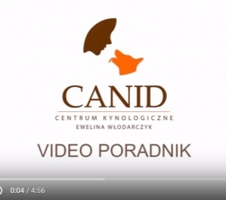 Video Poradnik - Nauka noszenia kagańca