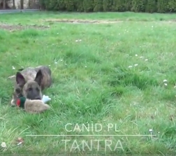 Tantra - szczęśliwe dzieciństwo