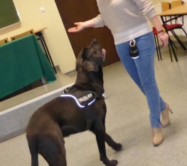 Szkolenie Podstawowe Katowice- poziom średnio zaawansowany P2