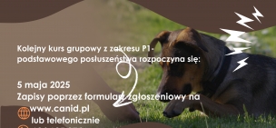 Majowy kurs szklenia psów P1