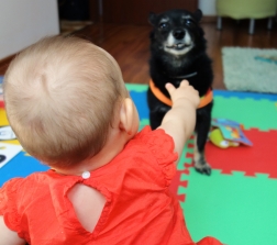 9 miesięcy macierzyństwa z psem u boku