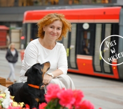 Pies w mieście, cz.I - WPROWADZENIE