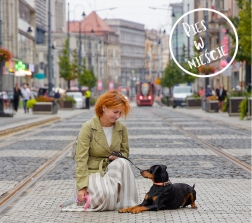 Pies w mieście, cz.VI - AKTYWNOŚĆ Z CZŁOWIEKIEM