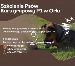 Majowy kurs szklenia psów P1